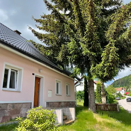 Petynka Vidochov